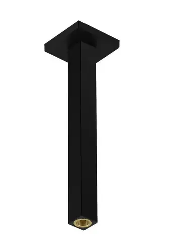 Hansgrohe Zubehör - Deckenbrausearm | 31 cm | matt schwarz 