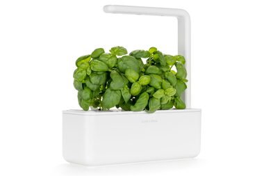 Click And Grow SMART Garden 3 weiß / Smarter Blumentopf / automatische Bewässerung / 3x Anzuchtkapseln (Basilikum)