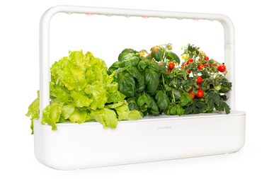 Click And Grow SMART Garden 9 weiß / Smarter Blumentopf / automatische Bewässerung / 3x Tomaten / 3x Basilikum / 3x Salat