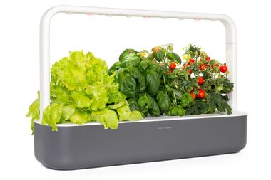 Click And Grow SMART Garden 9 grau / Smarter Blumentopf / automatische Bewässerung / 3x Tomaten / 3x Basilikum / 3x Salat