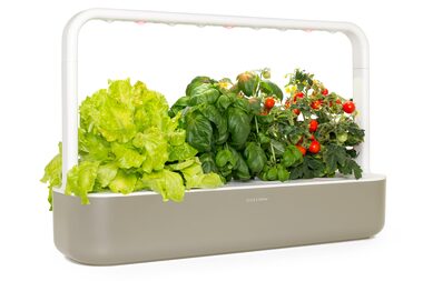 Click And Grow SMART Garden 9 beige / Smarter Blumentopf / automatische Bewässerung / 3x Tomaten / 3x Basilikum / 3x Salat