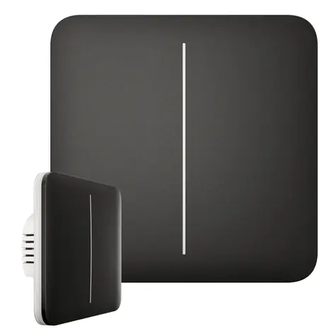 AJAX SoloButton (2-fach) - Einzeltaster für LightSwitch schwarz