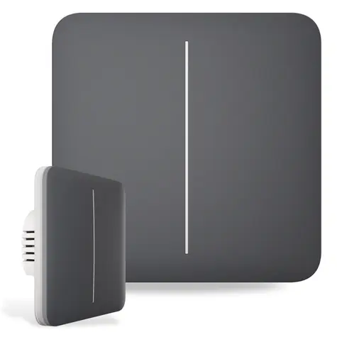 AJAX SoloButton (2-fach) - Einzeltaster für LightSwitch Graphit