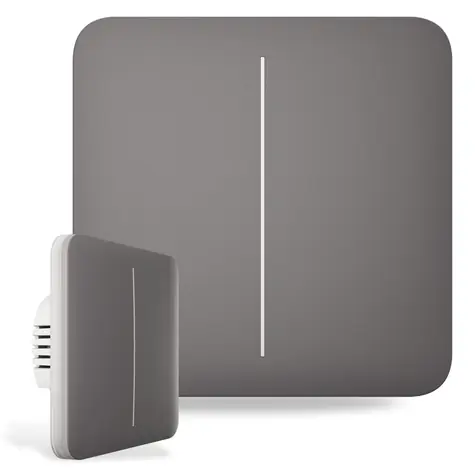 AJAX SoloButton (2-fach) - Einzeltaster für LightSwitch grau