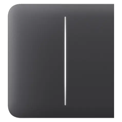 AJAX SideButton (2-fach) - Seitentaster für LightSwitch Graphit