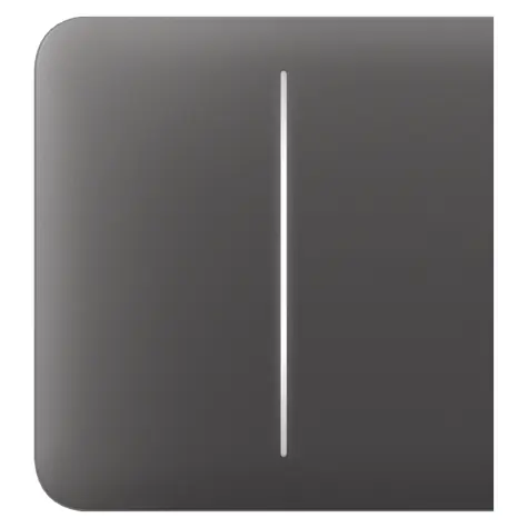 AJAX SideButton (2-fach) - Zwei Seitentaster für LightSwitch grau