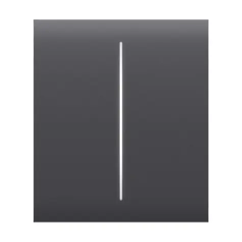 AJAX CenterButton (2-fach) - Mitteltaster für LightSwitch Graphit