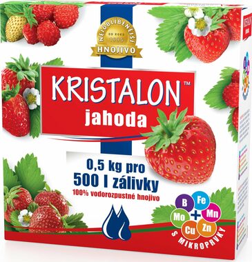 Agro Kristalon Erdbeere 0,5 kg