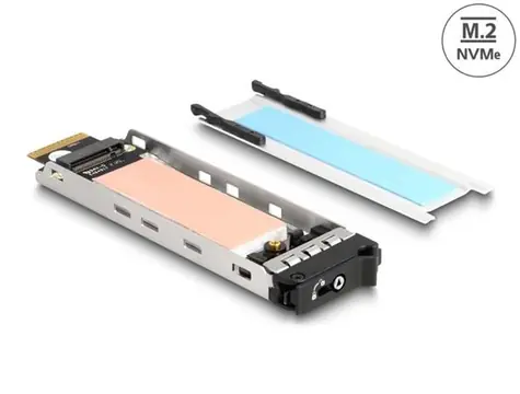 DeLock Mobile Tray Interner Einschub für 1 x M.2 NVMe SSD für Mobile Tray 47028
