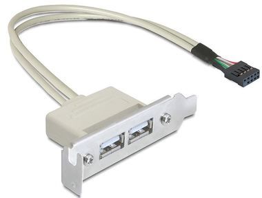 DeLock Stecker für USB 2.0 Low Profile Slot / 2 Ports