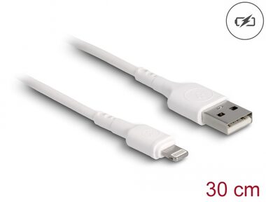 DeLock Stromkabel USB-A 2.0 (M) - Apple Lightning (M) 30cm weiß