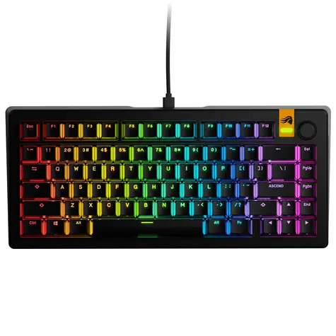 Glorious GMMK 3 HE 75% - Fox HE ANSI schwarz / Gaming 75% TKL / USB-C / ANSI (US)-Layout / Fox HE / RGB / 1,4 m