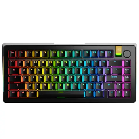 Glorious GMMK 3 Pro HE Wireless 75% - Fox HE ANSI schwarz / Gaming 75% TKL / USB-C+BT / ANSI (US) / Fox HE / RGB / 1,4 m