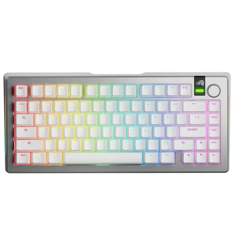 Glorious GMMK 3 Pro Wireless 75 % - Fox Linear ANSI Silber / Gaming 75 % TKL / USB-C+BT / ANSI US / Fox Linear / RGB