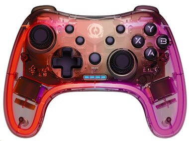 Canyon CND-GPW04 Kabelloses Gamepad / RGB / 5in1 (PS3 & PS4 & Xbox & Android TV & PC) / BT 5.0