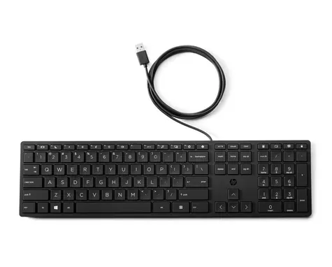HP 320K schwarze kabelgebundene Tastatur / USB / CZ-SK-Layout / 1,8 m