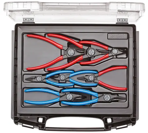 Gedore 1101-001 - Sicherungsringbürsten-Set im i-BOXX-Koffer (8-tlg.)