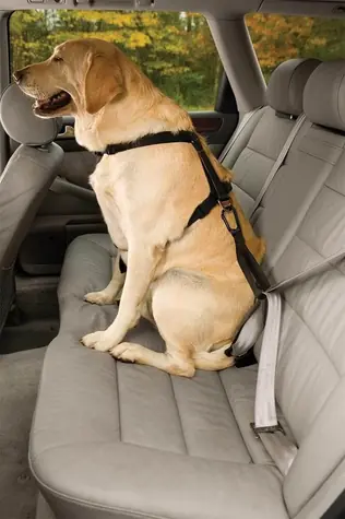 Kurgo Seatbelt Tether schwarz / Sicherheitsgurt für Hunde mit Schlaufe 
