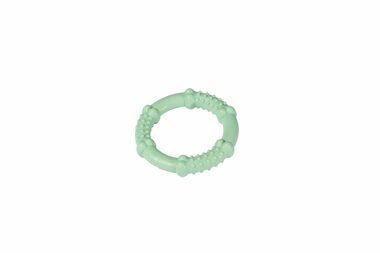 Karlie Nylon-Kauring mint - 7,5cm