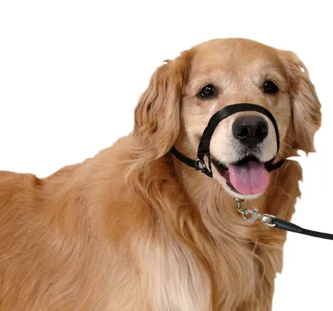 Karlie Halter Single schwarz M