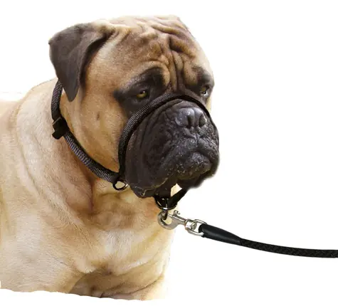 Karlie Halter Single schwarz L