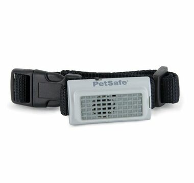 PetSafe Ultraschall-Antibellhalsband