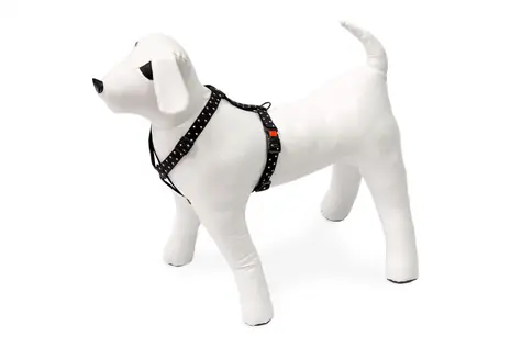 Karlie ASP Mix&Match Geschirr rot Graphite Motiv - Größe 25-40cm 10mm