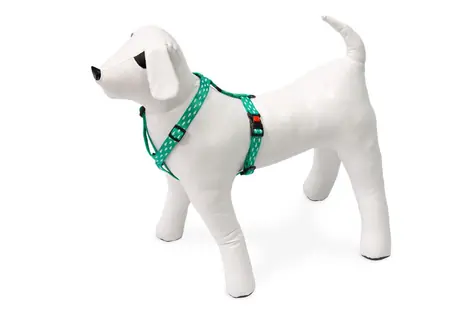 Karlie ASP Mix&Match Geschirr, grünes Hai-Motiv - Größe 35-50 cm, 15 mm