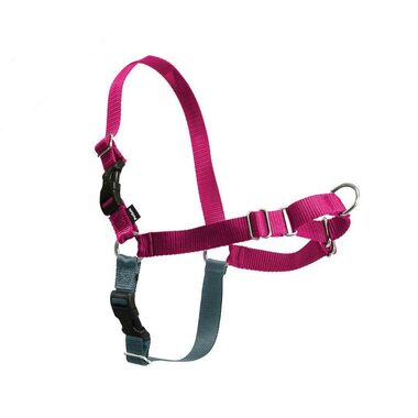 PetSafe EasyWalk Geschirr Himbeere - Größe M
