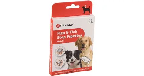Flamingo Pipetten für Hunde 5x2ml