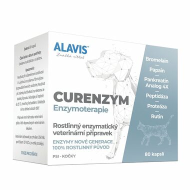 ALAVIS CURENZYM Enzymotherapie 80 Kapseln