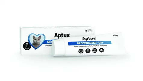 Aptus Recobooster Katze 60g 