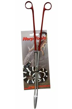 Lucky Reptile Erbse 40 cm