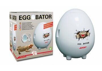 Lucky Reptile Egg O'Bator / 28x26x32 cm