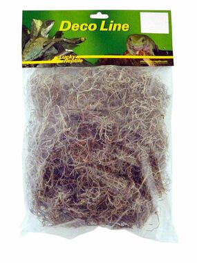 Lucky Reptile Spanisches Moos 50 g