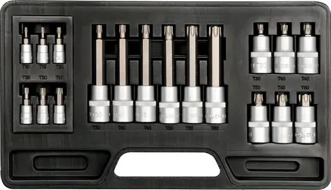 YATO YT-7751 / Bit-Set 18-teilig TORX T10-T60mm