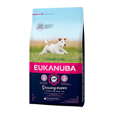 Eukanuba Puppy & Junior Small Breed - Huhn 3 kg / Granulat für Hunde / für Welpen kleiner Rassen