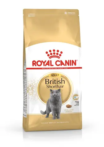 Royal Canin Britisch Kurzhaar Adult 4 kg / Granulat für Katzen 