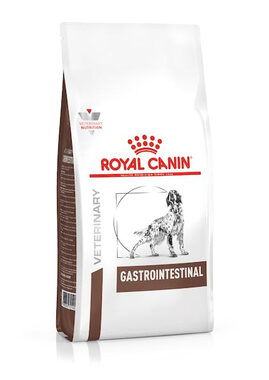 Royal Canin VHN Canine Gastrointestinal 15 kg / Granulat für Hunde 