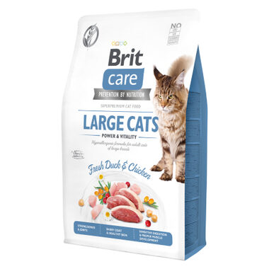 Brit Care Cat Grain-Free Großkatzen Power & Vitality 2 kg / Alleinfuttermittel für ausgewachsene Katzen großer Rassen