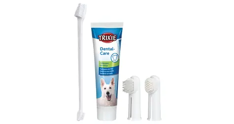 TRIXIE 2561 Zahnpflegeset / Minzpaste 100g / 2 Fingerbürsten / 1x doppelseitige Bürste