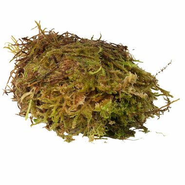 HabiStat Sphagnum-Moos 1kg / Natürliches Moos 