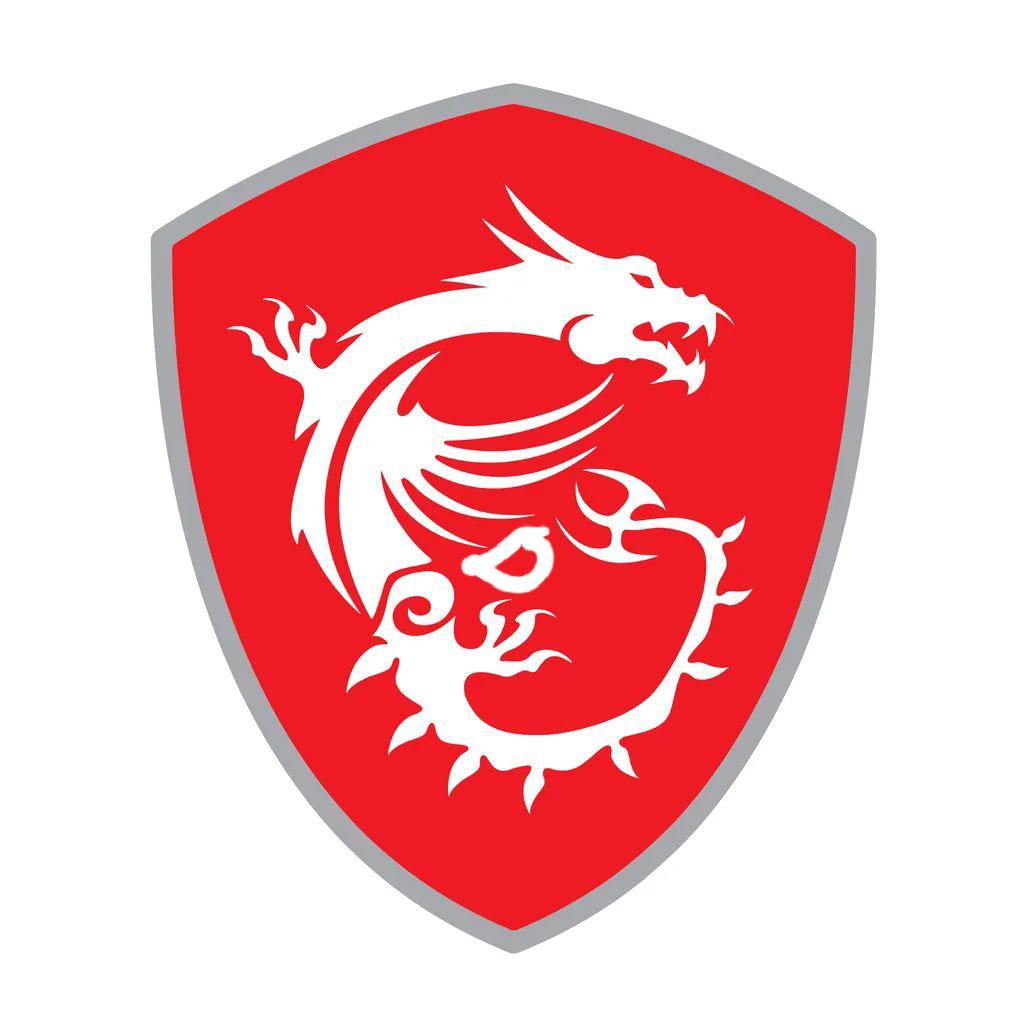 MSI - Kategorie