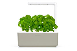 Ein smarter Garten