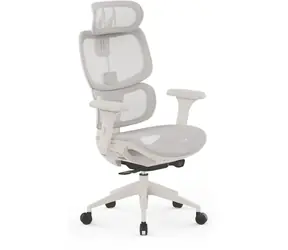 Ergonomische Stühle