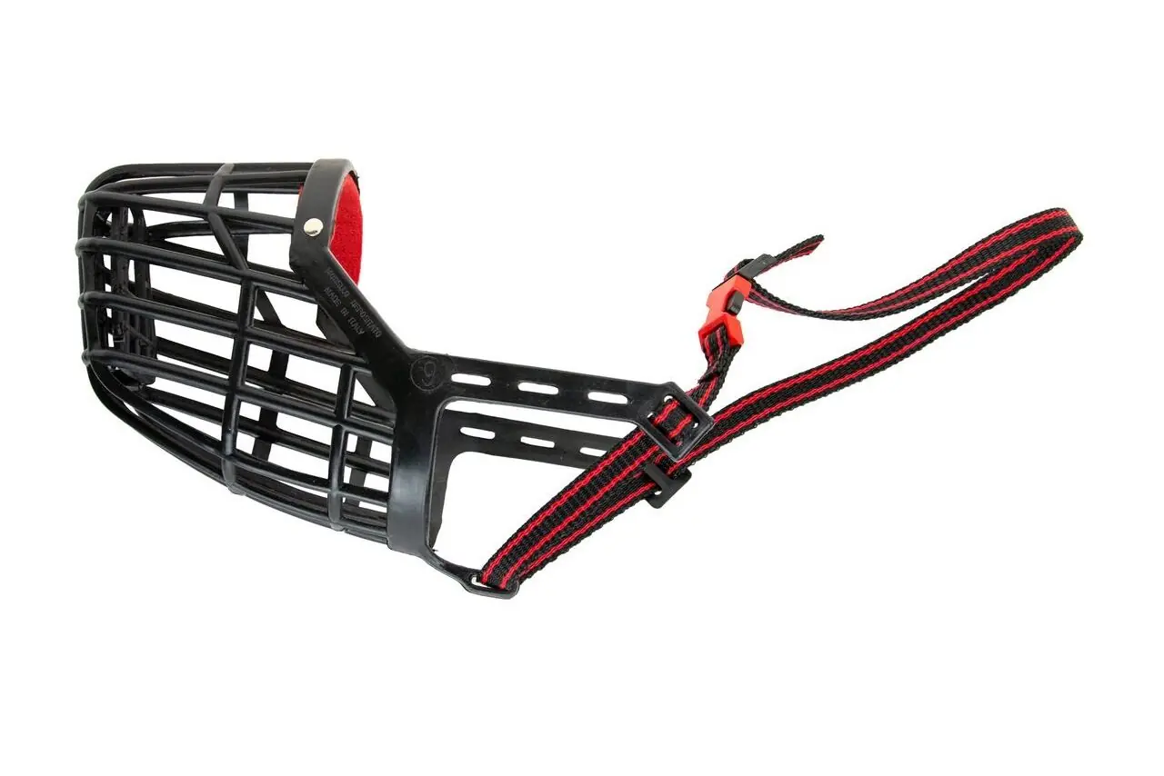 Maulkörbe und Halfter