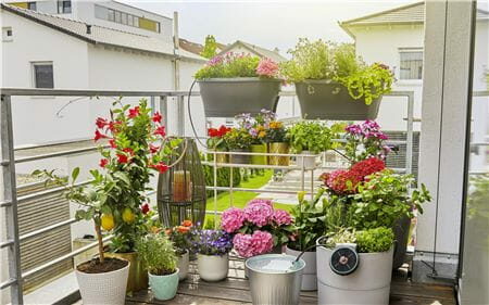 Gardena Solární zavlažování AquaBloom sada - Zavlaží až 20 rostlin