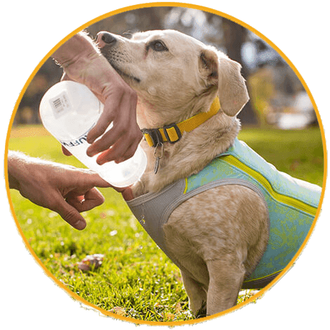 Chladící vesta pro psy Ruffwear Swamp Cooler Zip™