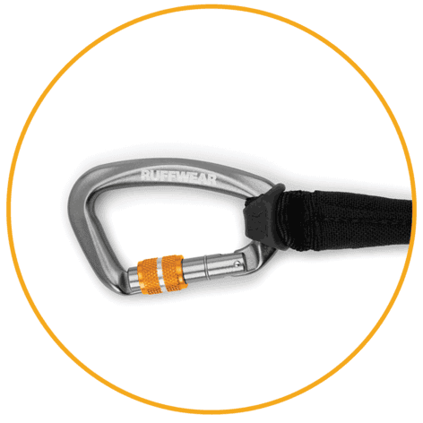 voditko pre psy knot a leash